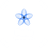 Purity Automation